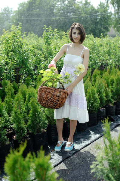 Una joven en el jardín — Foto de Stock