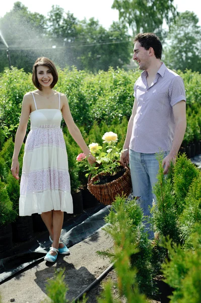 Una pareja joven con una cesta con rosas —  Fotos de Stock