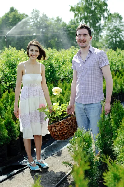 一对年轻夫妇与一篮子与玫瑰 — 图库照片