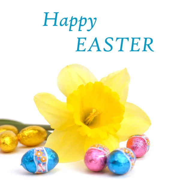 stock image Easter card with daffodil and eggs