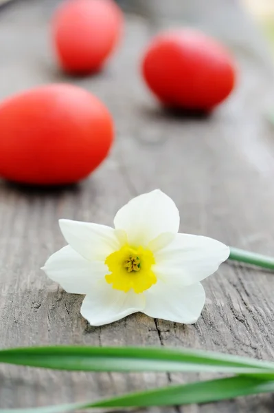 Три красных яйца и цветок — стоковое фото