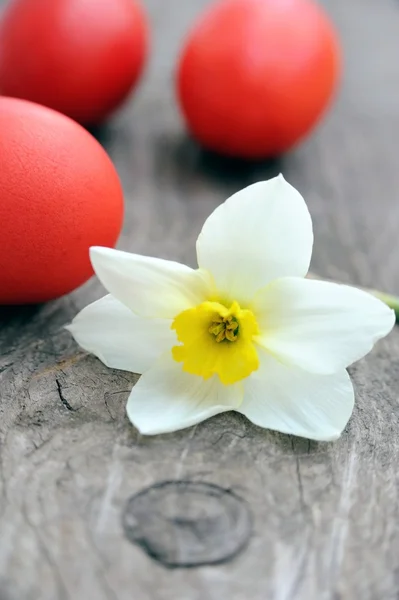 Три красных яйца и цветок — стоковое фото