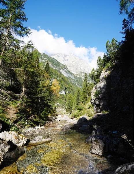 Rzeka we włoskich Alpach — Zdjęcie stockowe