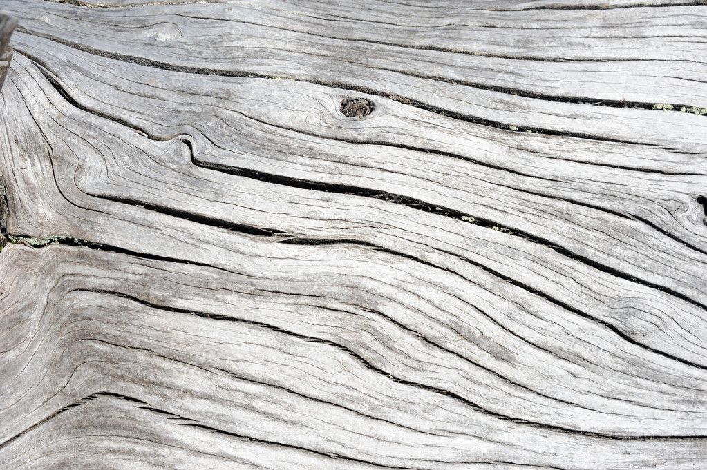 A background of grey weathered wood — Stock Photo © velkol #9362665