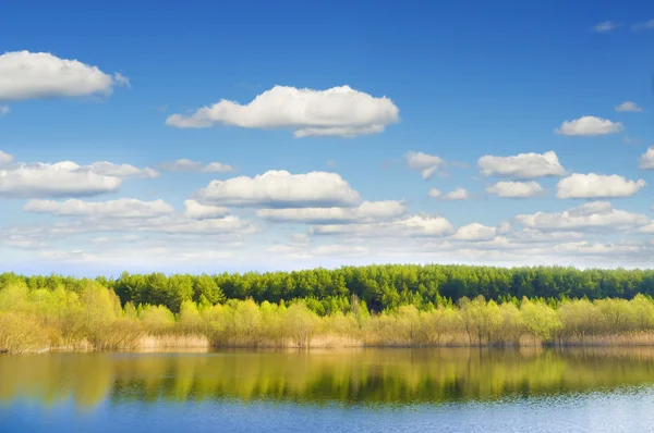 Lago da floresta — Fotografia de Stock