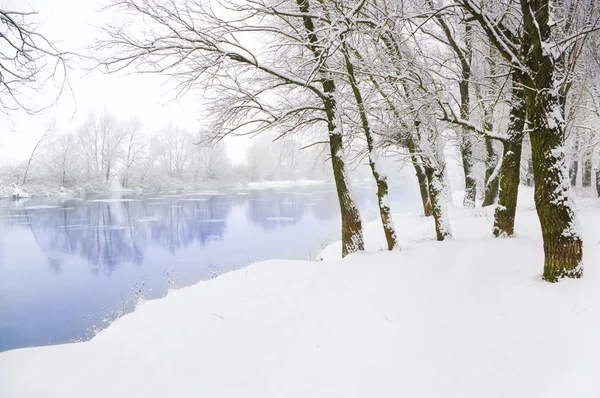 Fiume invernale — Foto Stock