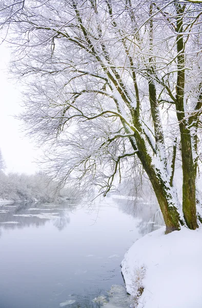 冷凍川 ロイヤリティフリーのストック画像