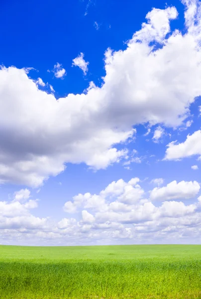 White clouds ower green meadow. — Stock Photo, Image