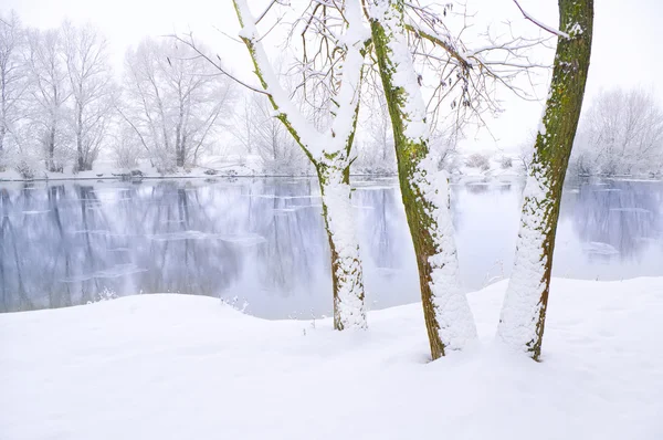 Fiume invernale — Foto Stock