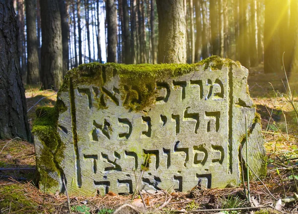 Бросаемое еврейское кладбище — стоковое фото