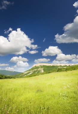 Dağdaki yeşil çayır.