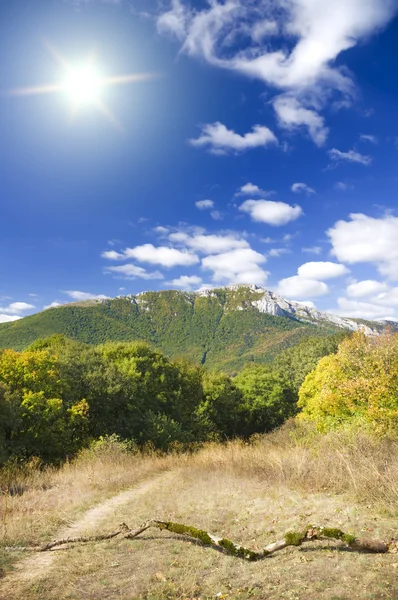 Mountain forest under blue sky. — Stock Photo, Image