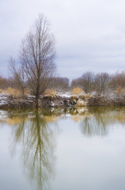 Sahil Nehri