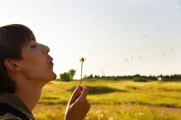The young guy blows on a dandelion — Stock Photo, Image