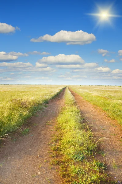 緑の草原の道 — ストック写真