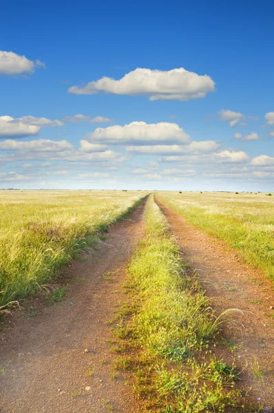 緑の草原の道 — ストック写真