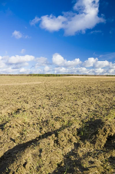 Soil field — Stock Photo, Image