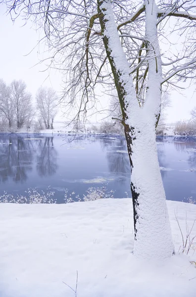 겨울 riwer — 스톡 사진