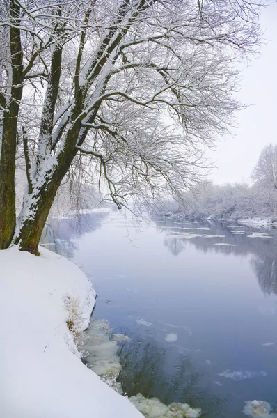 겨울 riwer — 스톡 사진