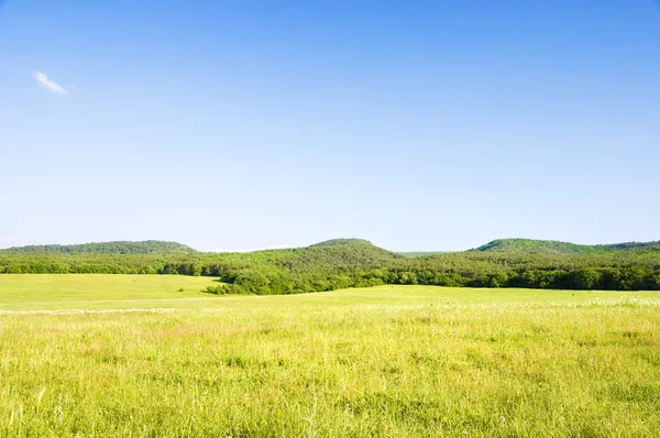大きな緑の山の牧草地. — ストック写真