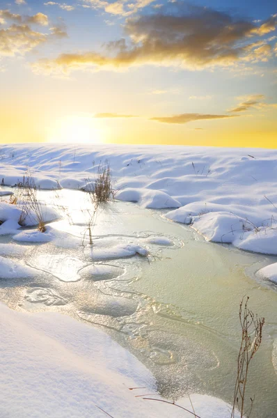 Замерзшая река и деревья в зимний сезон . — стоковое фото