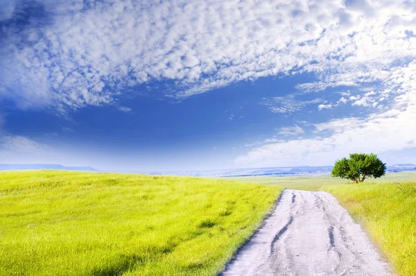 Road amongst green meadow — Stock Photo, Image