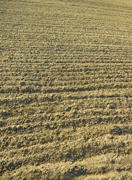 stock image Plowed ground