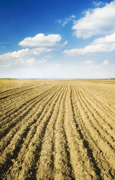 Soil of an agricultural field — Stock Photo, Image