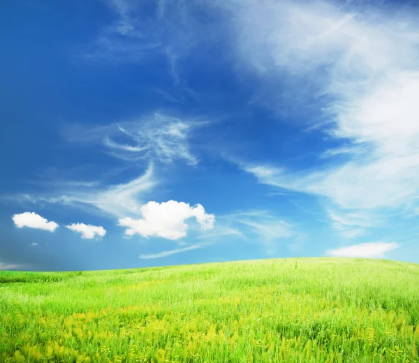 Sky and fields — Stock Photo, Image