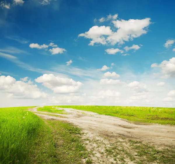 Farm Dirt Road Receding Through Lush Green Fields — Stock Photo