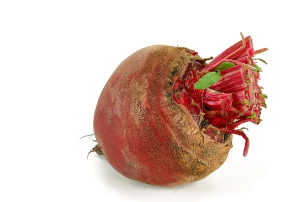 Young beets — Stock Photo, Image