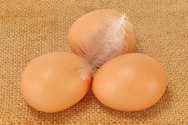 3 つの鶏の卵 — ストック写真