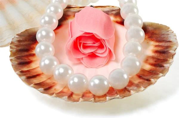 Морська мушля з перлами і трояндою — стокове фото