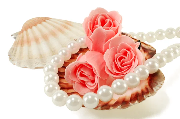 Sea shell with pearls and a rose — Stock Photo, Image