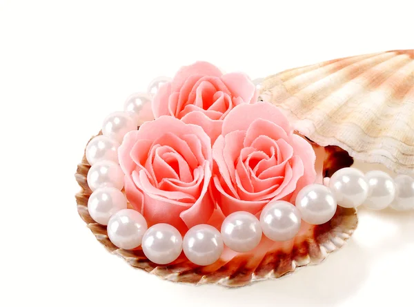 Морская раковина с жемчугом и розой — стоковое фото
