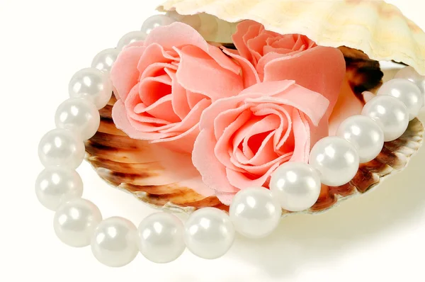 Concha marina con perlas y una rosa — Foto de Stock