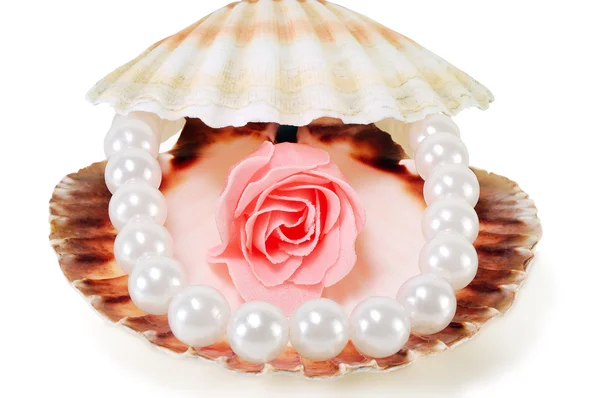 Concha do mar com pérolas e uma rosa — Fotografia de Stock