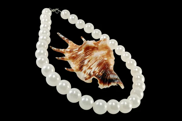 Perlas grandes con concha marina — Foto de Stock