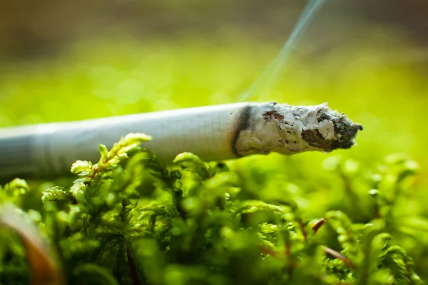 Cigarette in grass — Stock Photo, Image