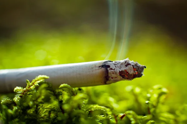 草のタバコ — ストック写真