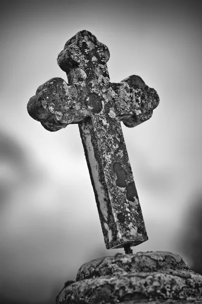 Croce di pietra primo piano — Foto Stock