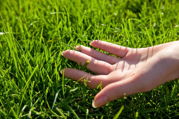Hand mit Gras — Stockfoto