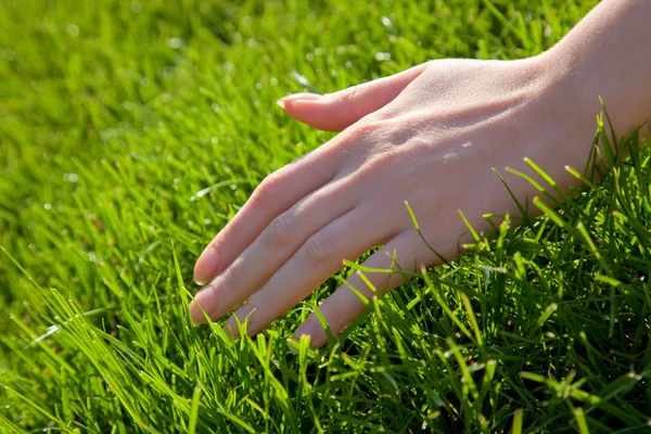 Mão com grama — Fotografia de Stock