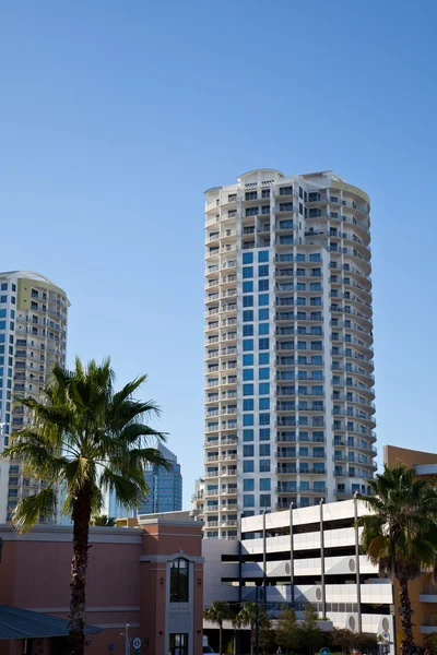 Uitzicht op de stad Tampa — Stockfoto
