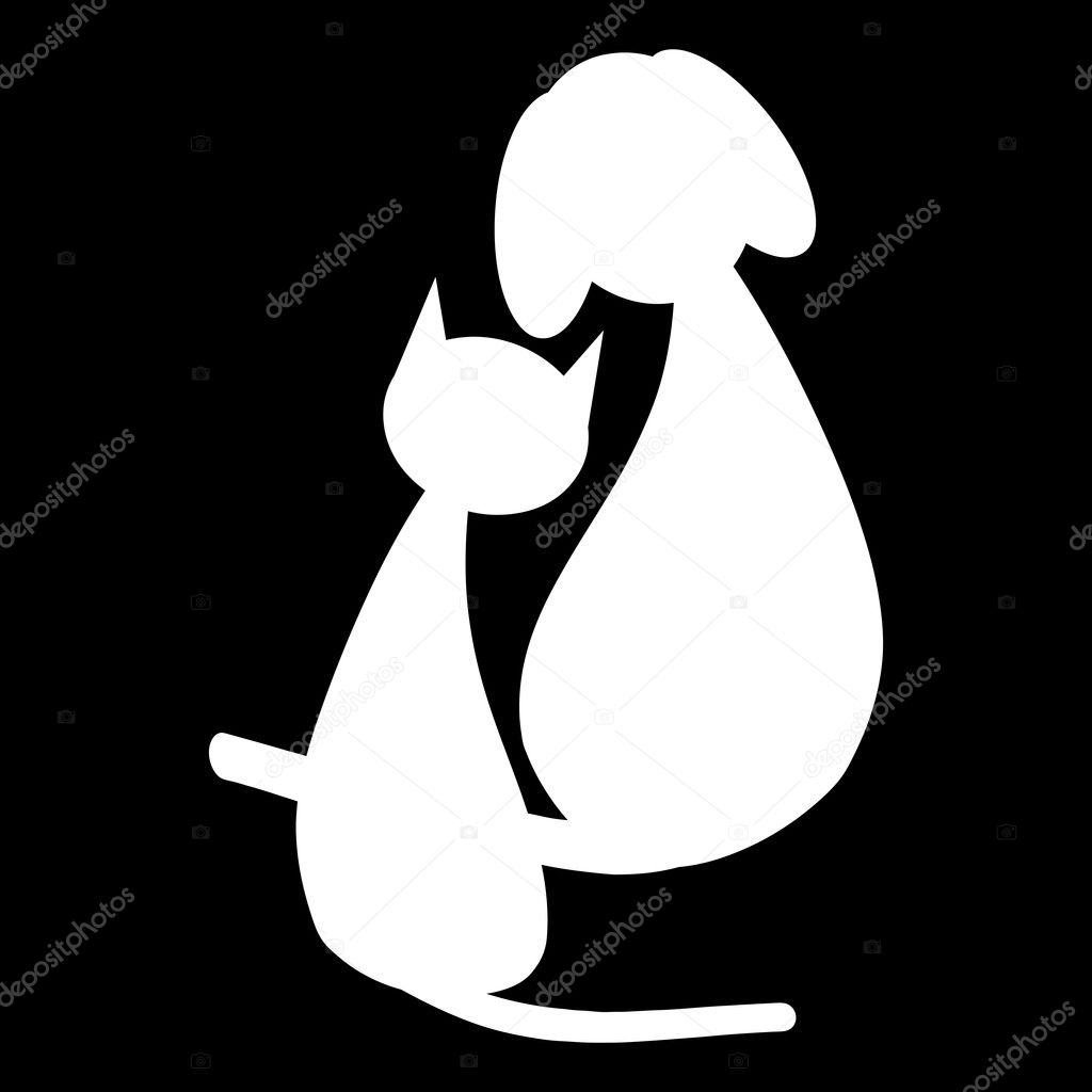 White dog and cat on black