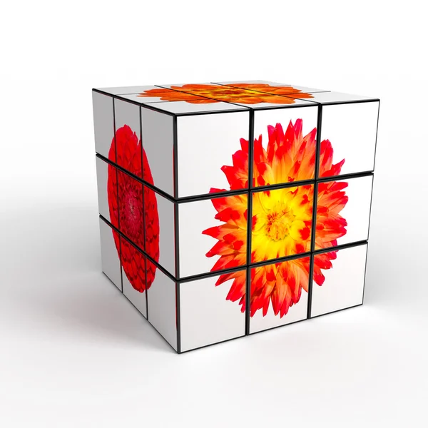 3d cubo con foto sobre fondo blanco — Foto de Stock