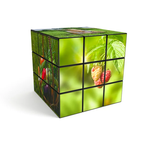 3D-kubus met foto op witte achtergrond — Stockfoto
