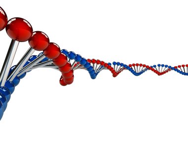 DNA iplikçiklerin beyaz zemin üzerine