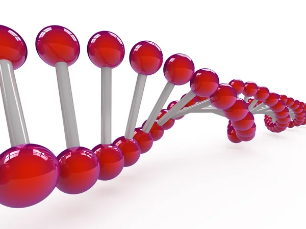 Filamentos de ADN sobre fondo blanco — Foto de Stock