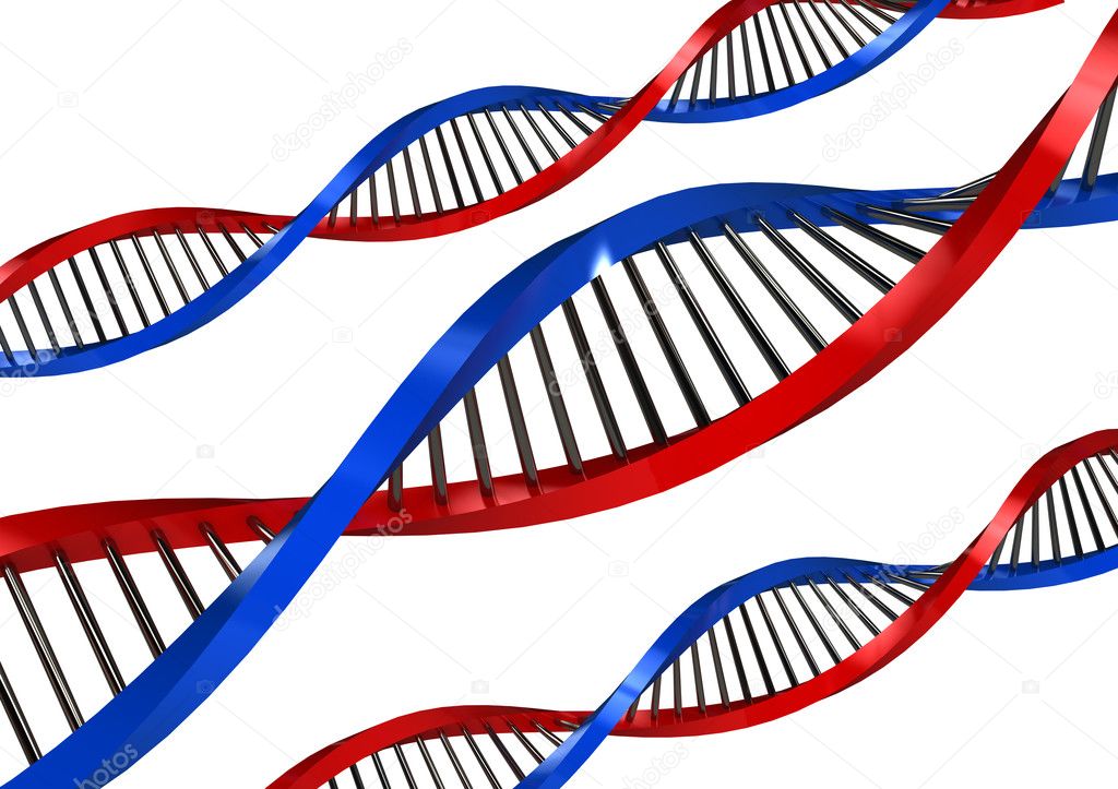 DNA Strands over white background